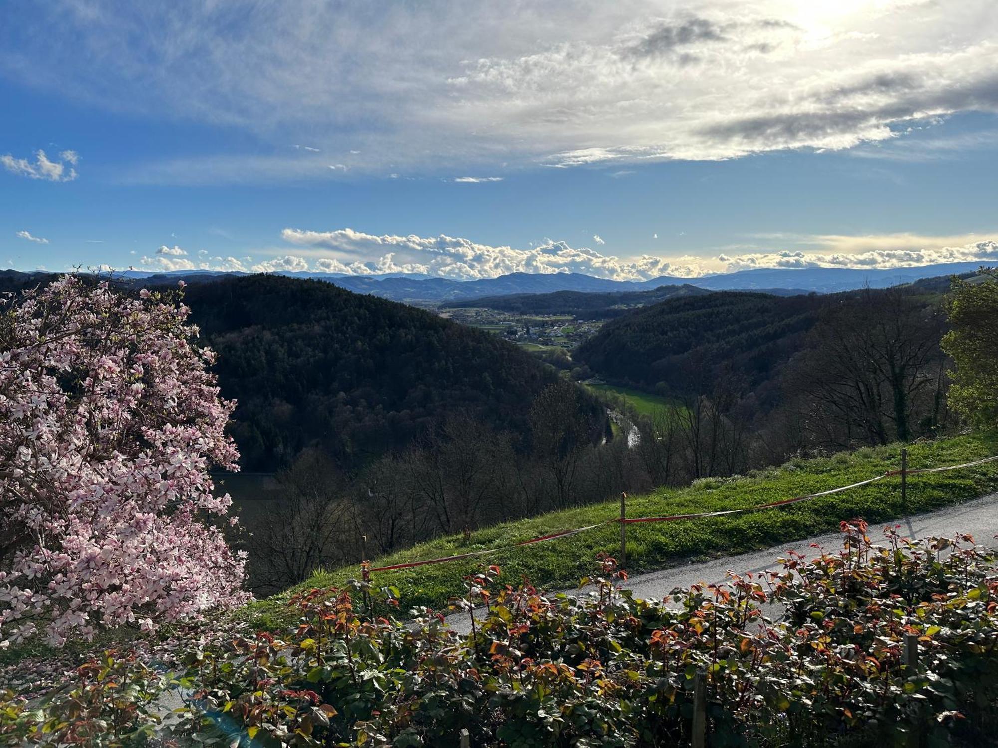 Holiday home Winzerhaus Roemerstrasse Kitzeck im Sausal